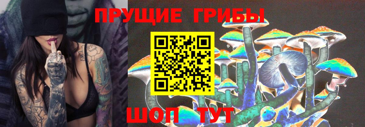 Усть-Джегута  Псилоцибиновые грибы Psilocybine cubensis  Вход с VPN 