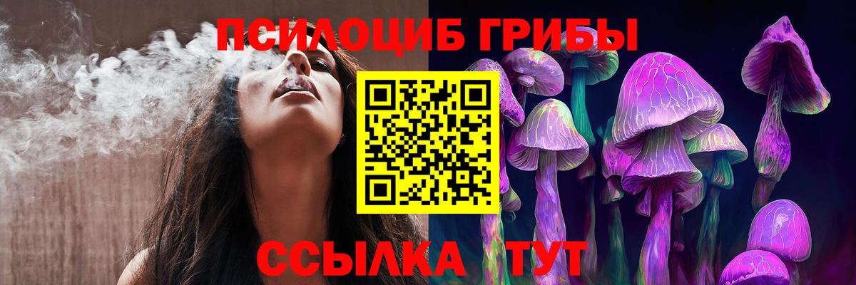 Псилоцибиновые грибы Cubensis Усть-Джегута